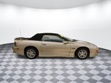 Used 2001 Chevrolet Camaro Z28 w/ Sport Appearance Pkg image 3