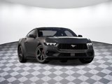 New 2025 Ford Mustang Coupe image 4