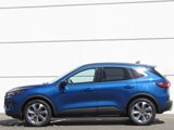 Used 2023 Ford Escape Platinum image 4