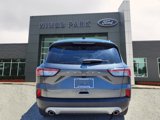 Certified 2021 Ford Escape Titanium image 5