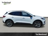 New 2025 Ford Escape ST-Line w/ Tech Pack #1 image 2