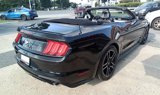Used 2019 Ford Mustang Premium image 4