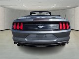 Used 2022 Ford Mustang Premium image 4