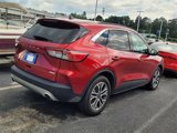 Used 2020 Ford Escape SEL image 4