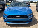 Used 2019 Ford Mustang Premium w/ Ecoboost Performance Package image 2