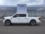 New 2025 Ford F150 STX w/ Equipment Group 200A image 3