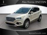 Used 2017 Ford Escape Titanium image 3