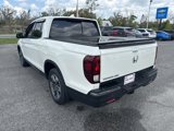 Used 2019 Honda Ridgeline RTL image 5