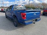 Used 2022 Ford F150 XLT w/ Equipment Group 302A High image 5