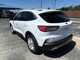 Used 2022 Ford Escape SE w/ Convenience Package image 4