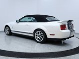 Used 2007 Ford Mustang Shelby GT500 image 3