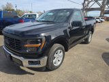New 2025 Ford F150 XL w/ Equipment Group 103A High image 3