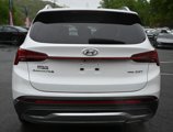 Used 2023 Hyundai Santa Fe Limited image 6