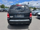 Used 2012 Ford Escape XLT image 4