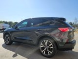 Used 2022 Ford Escape SE w/ SE Sport Appearance Package image 5