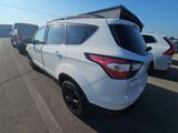 Used 2017 Ford Escape SE w/ Equipment Group 201A image 6