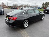Used 2024 Chevrolet Malibu LT image 5