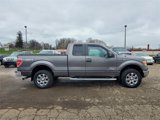 Used 2013 Ford F150 XLT w/ XLT Chrome Pkg image 4