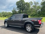 Used 2019 Ford F150 XLT w/ Equipment Group 302A Luxury image 4