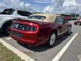Used 2014 Ford Mustang Premium w/ Equipment Group 202A image 2