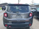 Used 2019 Jeep Renegade Trailhawk image 4