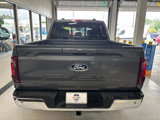 New 2025 Ford F150 XLT w/ Equipment Group 302A MID image 5