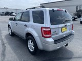 Used 2011 Ford Escape XLT w/ 201A Rapid Spec Order Code image 6