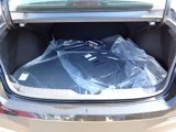New 2025 Hyundai Elantra Sport image 4