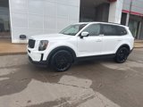 Used 2021 Kia Telluride SX w/ SX Prestige Package image 2