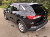 Used 2022 Ford Escape SE image 4