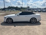 Used 2019 Ford Mustang Premium w/ Pony Package image 4