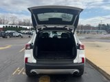 Used 2022 Ford Escape Titanium image 4