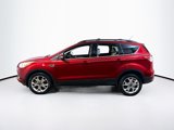 Used 2013 Ford Escape SEL image 4