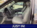 Used 2020 Ford F150 XLT w/ Equipment Group 302A Luxury image 3
