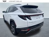 Used 2023 Hyundai Tucson Limited image 4