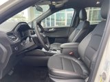 New 2025 Ford Escape ST-Line image 4