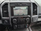 Used 2015 Ford F150 XLT w/ Equipment Group 302A Luxury image 4