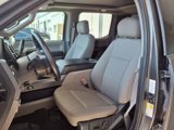 Used 2019 Ford F150 XLT w/ Equipment Group 302A Luxury image 3