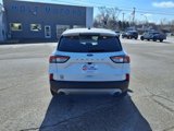 Used 2022 Ford Escape SEL image 5