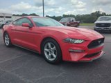 Certified 2019 Ford Mustang Coupe image 2