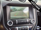 Used 2018 Ford Mustang Premium image 5
