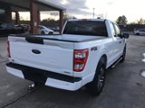 Certified 2023 Ford F150 XL w/ STX Appearance Package image 5
