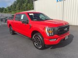 Certified 2023 Ford F150 XLT w/ Equipment Group 302A High image 4