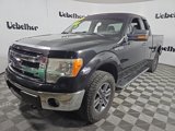 Used 2013 Ford F150 XLT w/ Mid Equipment Group image 3