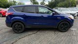 Used 2016 Ford Escape SE w/ SE Cold Weather Package image 6