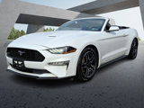 Used 2022 Ford Mustang Premium image 3