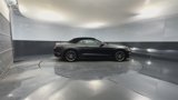 Used 2019 Ford Mustang Premium w/ Equipment Group 201A image 4
