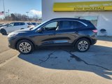 Certified 2022 Ford Escape SEL image 4