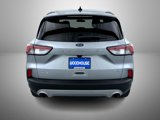 Used 2022 Ford Escape SE w/ Cold Weather Package image 6