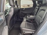 Used 2022 Ford Escape SEL w/ Technology Package image 5